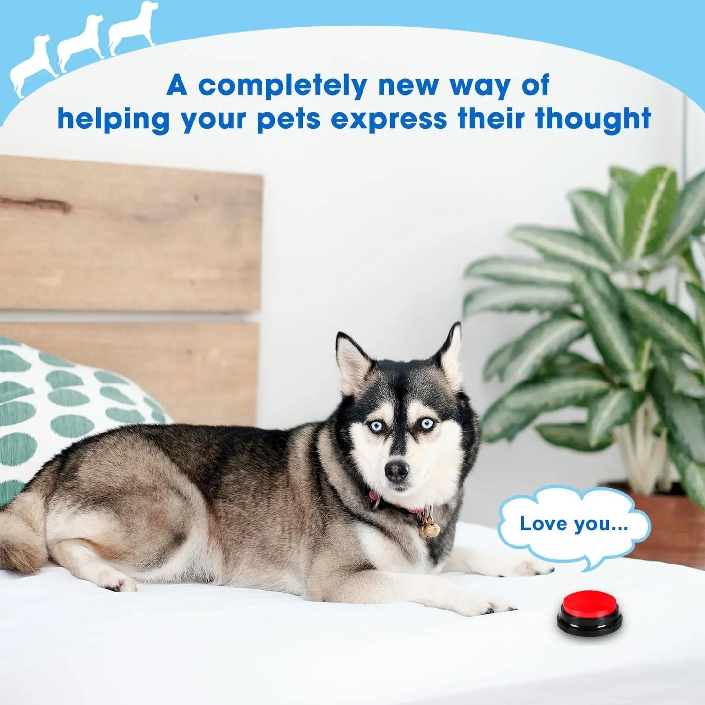 4-Pack Dog Training Voice Buttons – 30s Record & Playback Buttons for Communication