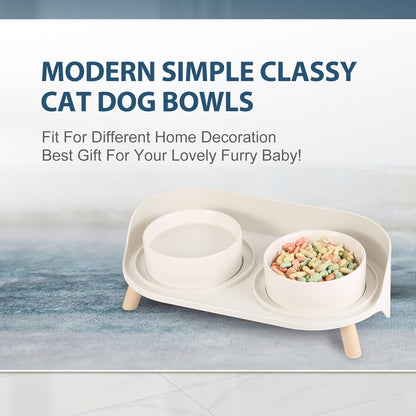 Elevated Ceramic Cat & Dog Bowl Set with Splash Guard, Non-Slip Stand (2x480ml)