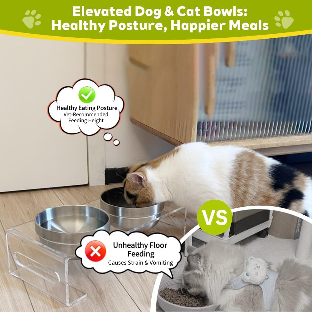 Acrylic Elevated Pet Bowls with Stand, Stainless Steel Feeder for Cats & Dogs