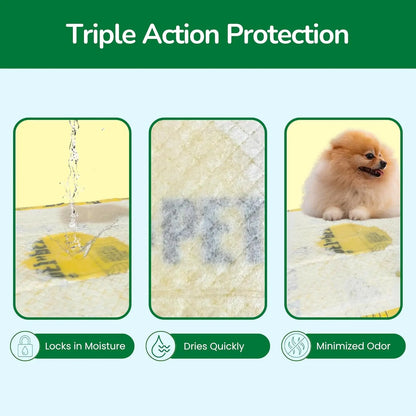 50 Count Dog Pee Pads–48% Plant-Based, Leak-Proof, Unscented Puppy Training Pads
