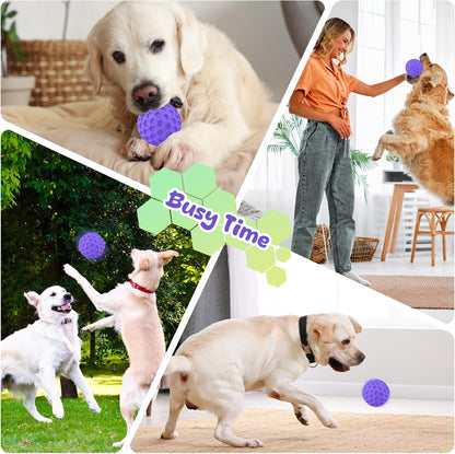Squeaky Rubber Dog Ball for Aggressive Chewers, Floating Interactive Toy