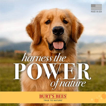 Hypoallergenic Dog Wipes with Honey – Natural Paw & Butt Cleaning, 50ct