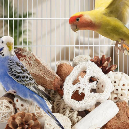 Natural Bird Foraging & Foot Toys | Enrichment Toys for Small to Medium Birds