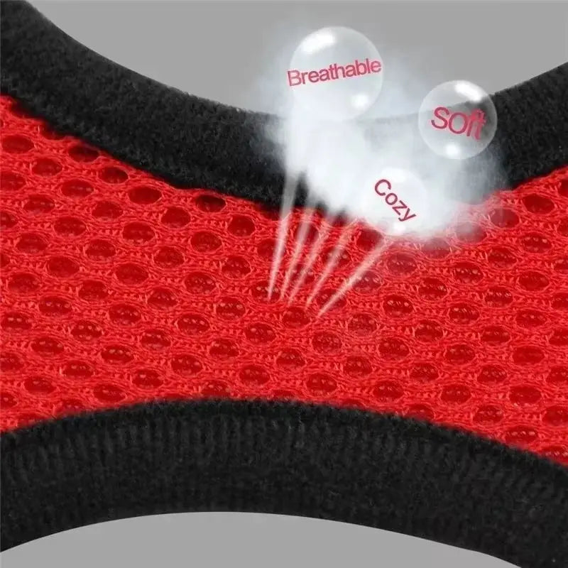Adjustable Cat Harness Vest & Leash Set – Safe, Comfortable & Durable for Cat & Small Pets