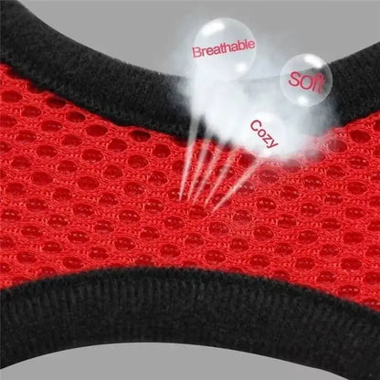 Adjustable Cat Harness Vest & Leash Set – Safe, Comfortable & Durable for Cat & Small Pets