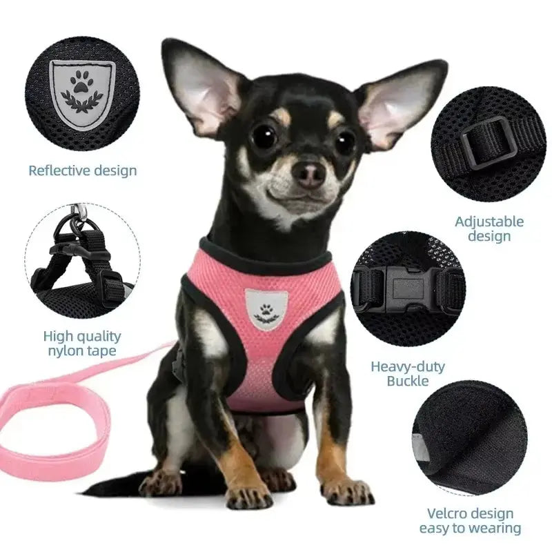 Adjustable Cat Harness Vest & Leash Set – Safe, Comfortable & Durable for Cat & Small Pets
