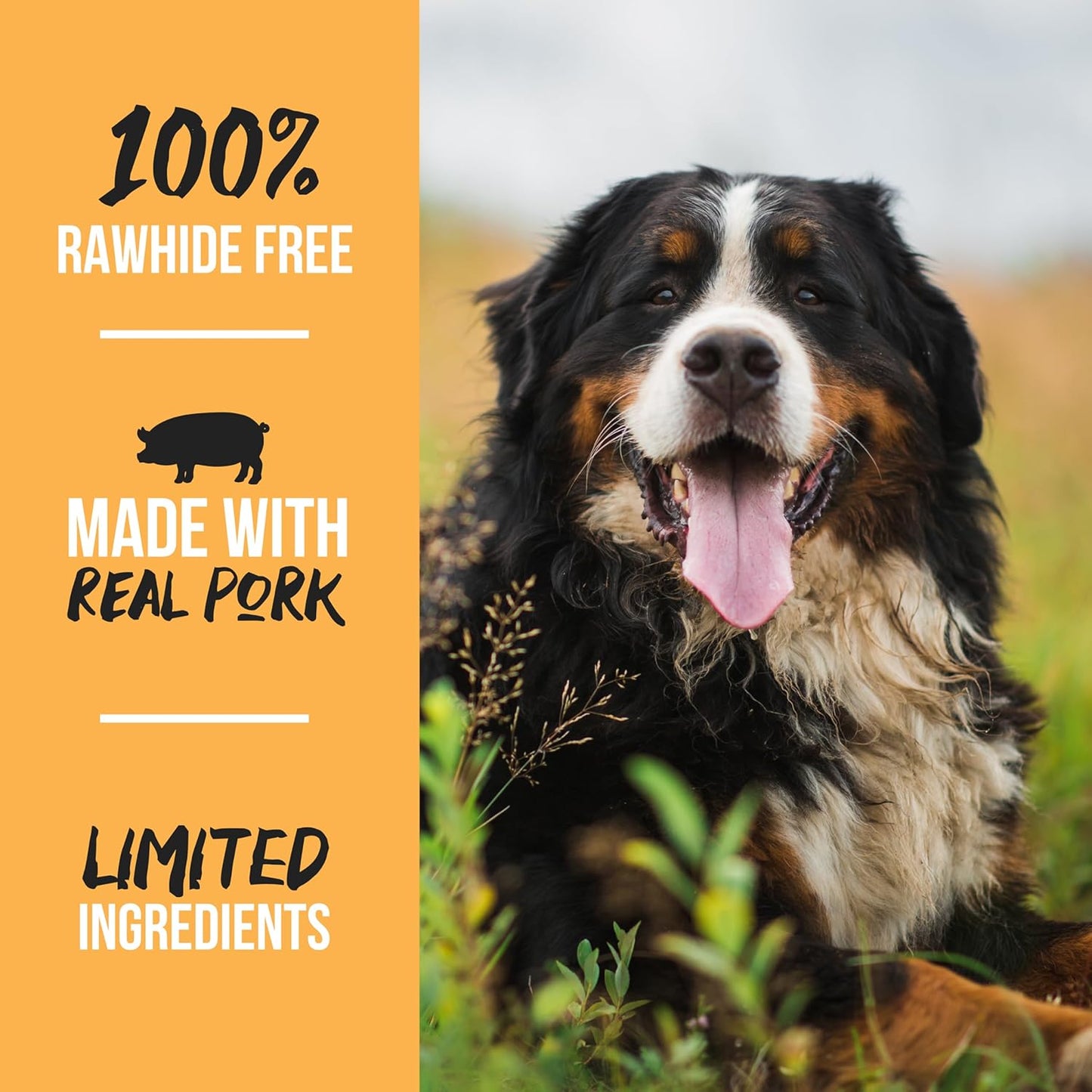 Scott Pet Grillerz Pig Ears Dog Chews, 12 Count, All-Natural Single Ingredient