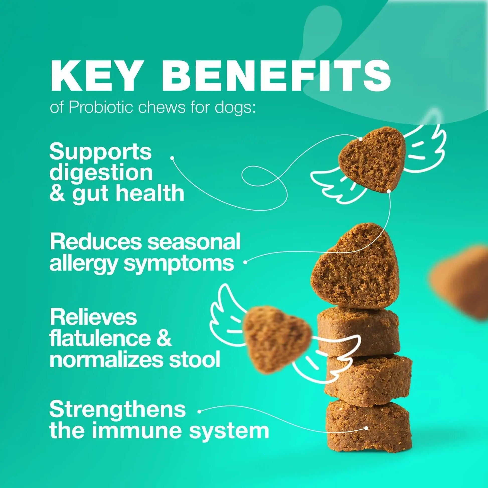 Dog Probiotics Chews with Digestive Enzymes – Gut Health, Immunity & Allergy Support