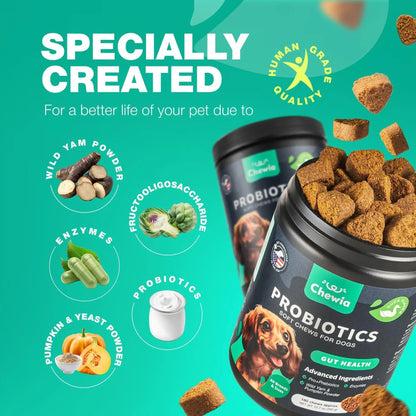 Dog Probiotics Chews with Digestive Enzymes – Gut Health, Immunity & Allergy Support