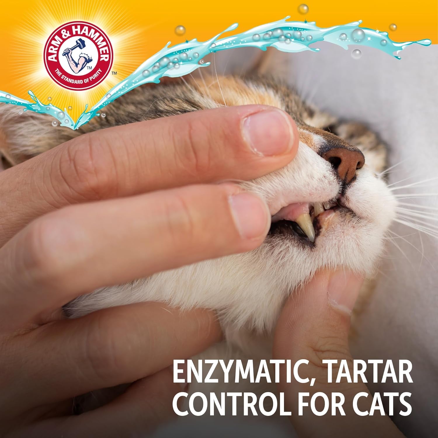 Dog Dental Kit Toothpaste Toothbrush Baking Soda Enzymatic 2.5oz