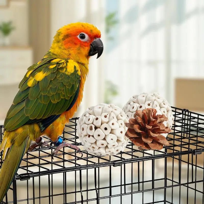 Natural Bird Foraging & Foot Toys | Enrichment Toys for Small to Medium Birds