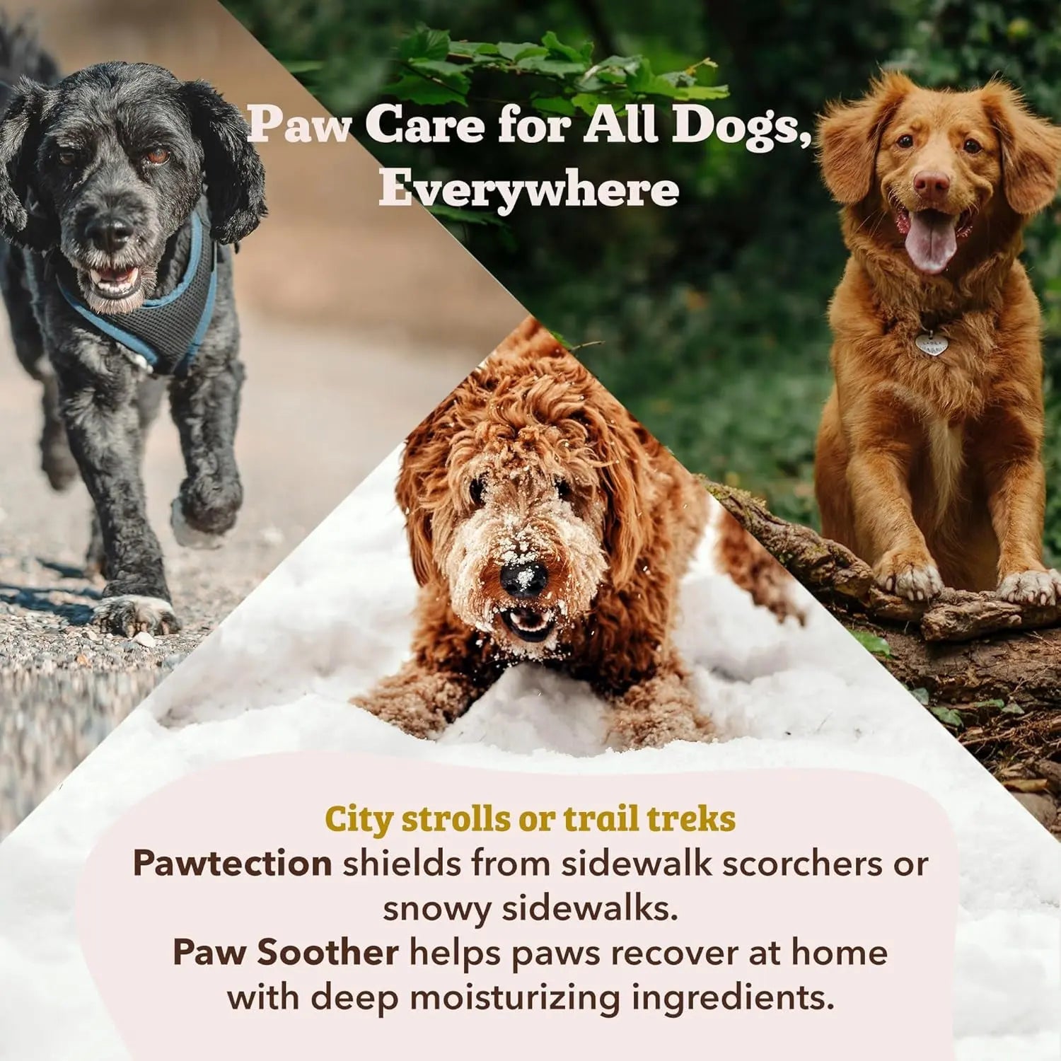 Natural Dog Paw Balm Moisturizer – Heals & Protects Dry, Cracked Pads, Restores Comfort & Softness