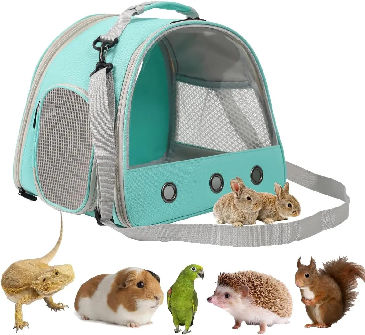 Small Pet Carrier Backpack with Clear Window, Airline Approved Travel Bag for Guinea Pig, Reptile, Hedgehog, Rat & Parrot Green Carrier