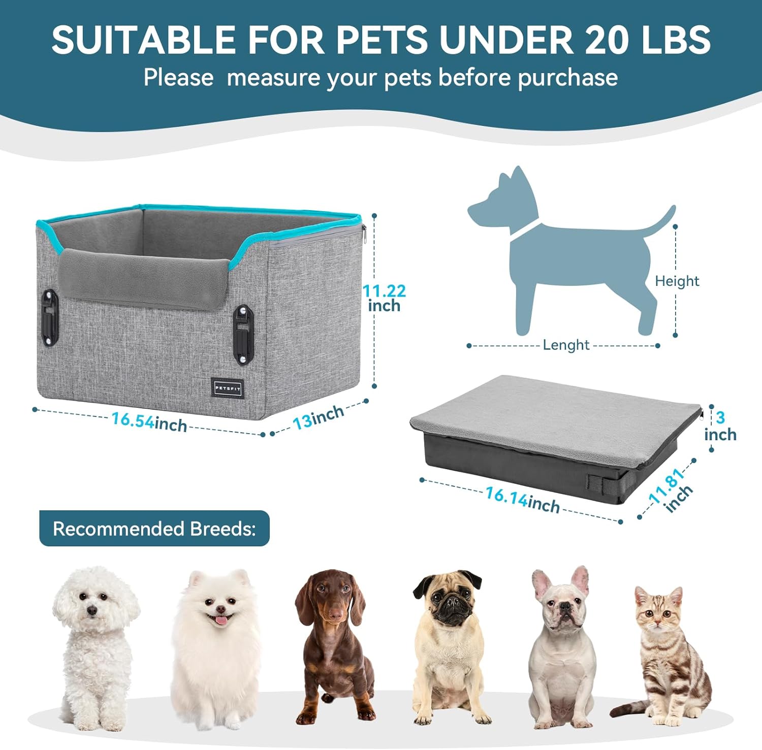 PETSFIT Small Dog Booster Car Seat with Safety Buckles & Tether, Foldable