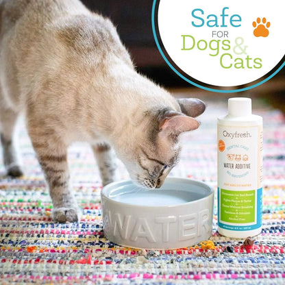 Pet Dental Water Additive 2 Pack – Fresh Breath & Tartar Control Dogs Cats