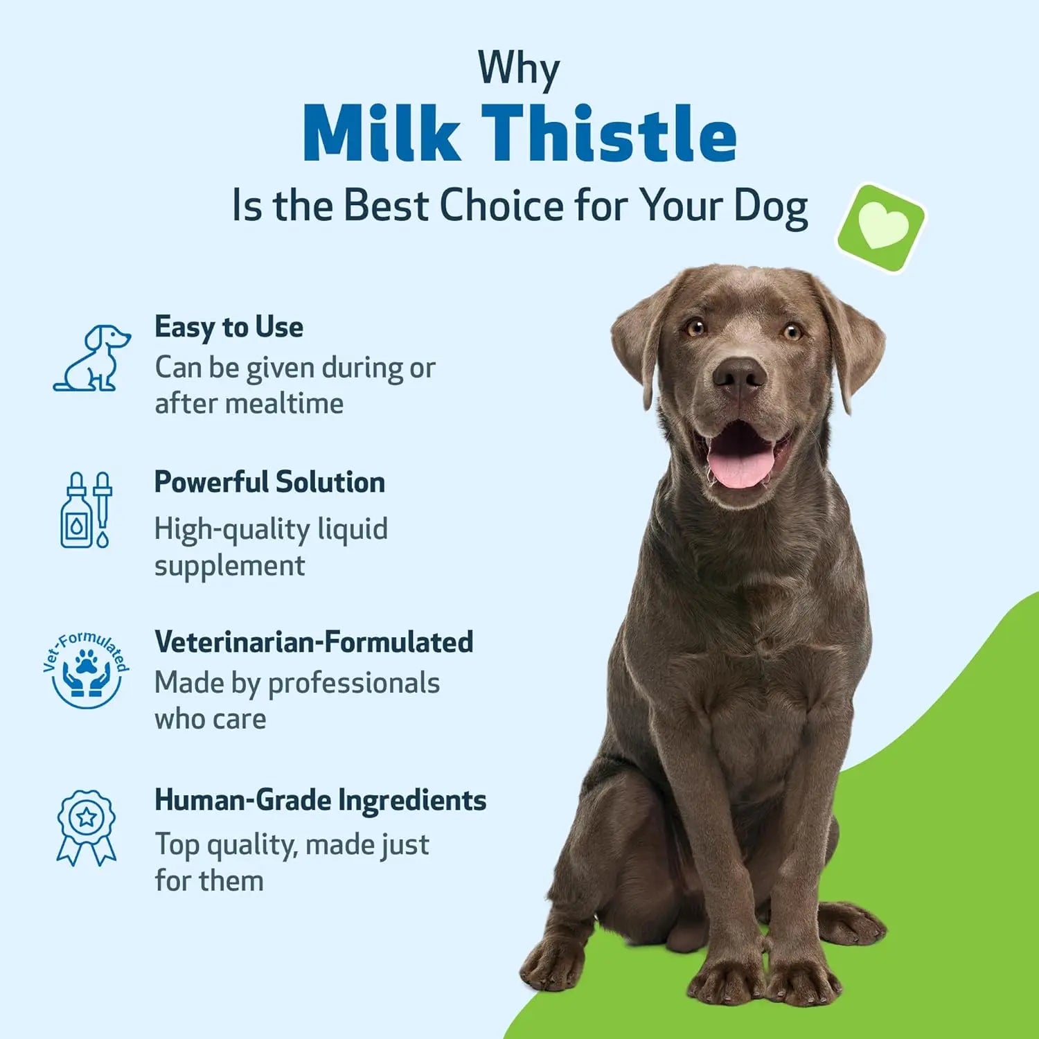 Organic Milk Thistle for Dogs 2oz – Vet Formulated Liver Support, Detox & Antioxidant Herbal Supplement