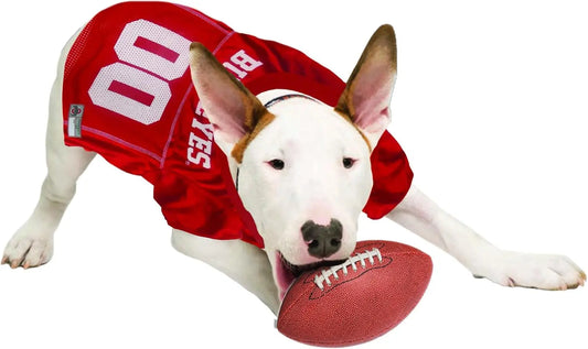 Licensed Official NCAA Mesh Jersey for Dogs & Cats