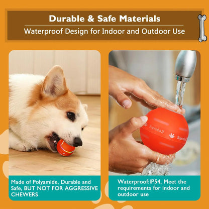 USB Rechargeable Interactive Dog Ball – Automatic Motion Rolling Toy for All Sizes
