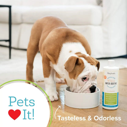 Pet Dental Water Additive 2 Pack – Fresh Breath & Tartar Control Dogs Cats
