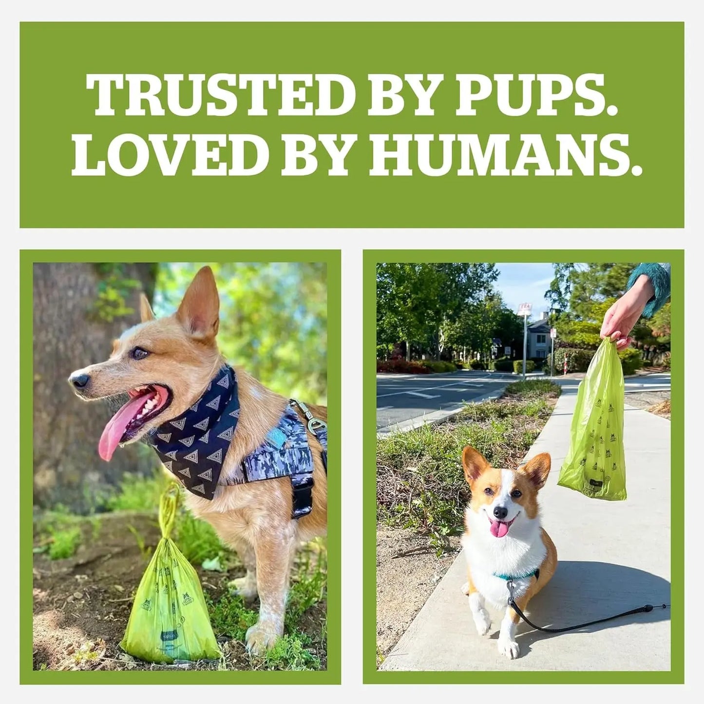 Dog Poop Bags with Handles 300ct – Extra Thick, Leak-Proof, Fresh Scent