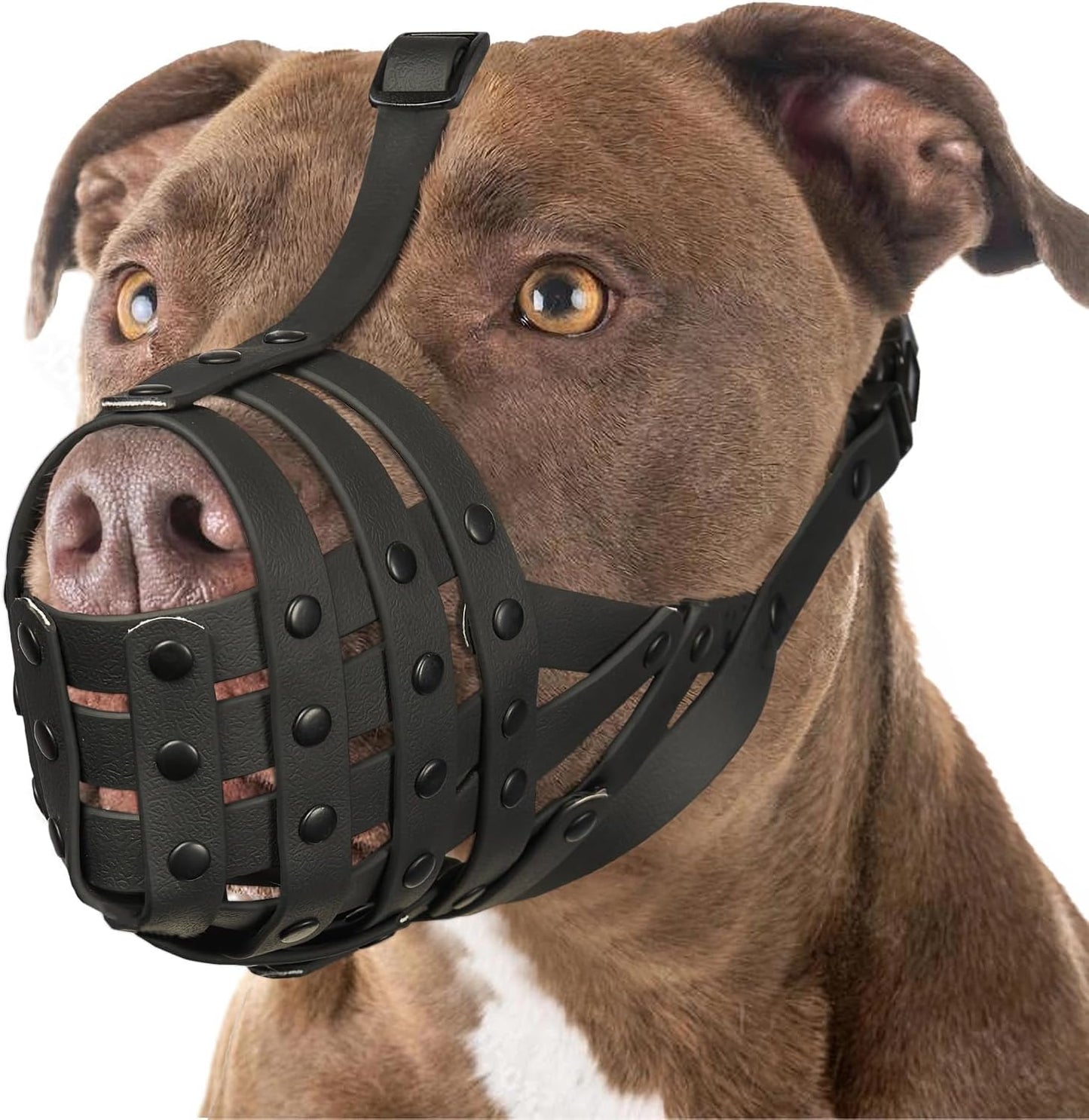 Adjustable Basket Dog Muzzle for Large & Medium Dogs, Lightweight & Breathable Black