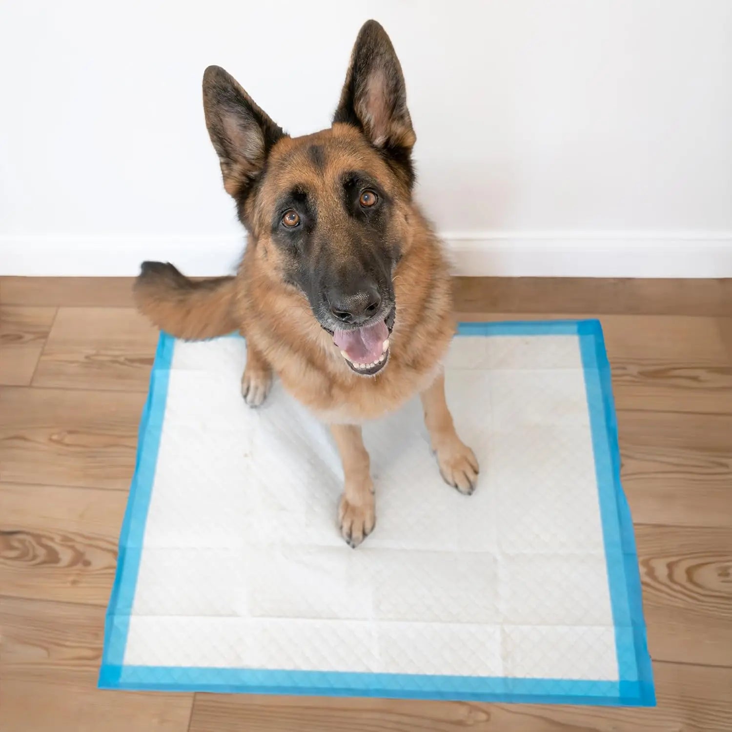 Wee-Wee Extra Large Dog Pee Pads Unscented Leak-Proof Quilted Training Pads