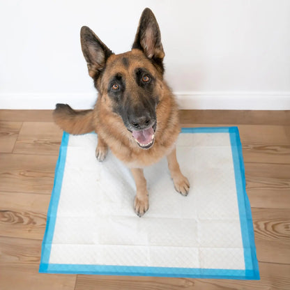 Wee-Wee Extra Large Dog Pee Pads Unscented Leak-Proof Quilted Training Pads