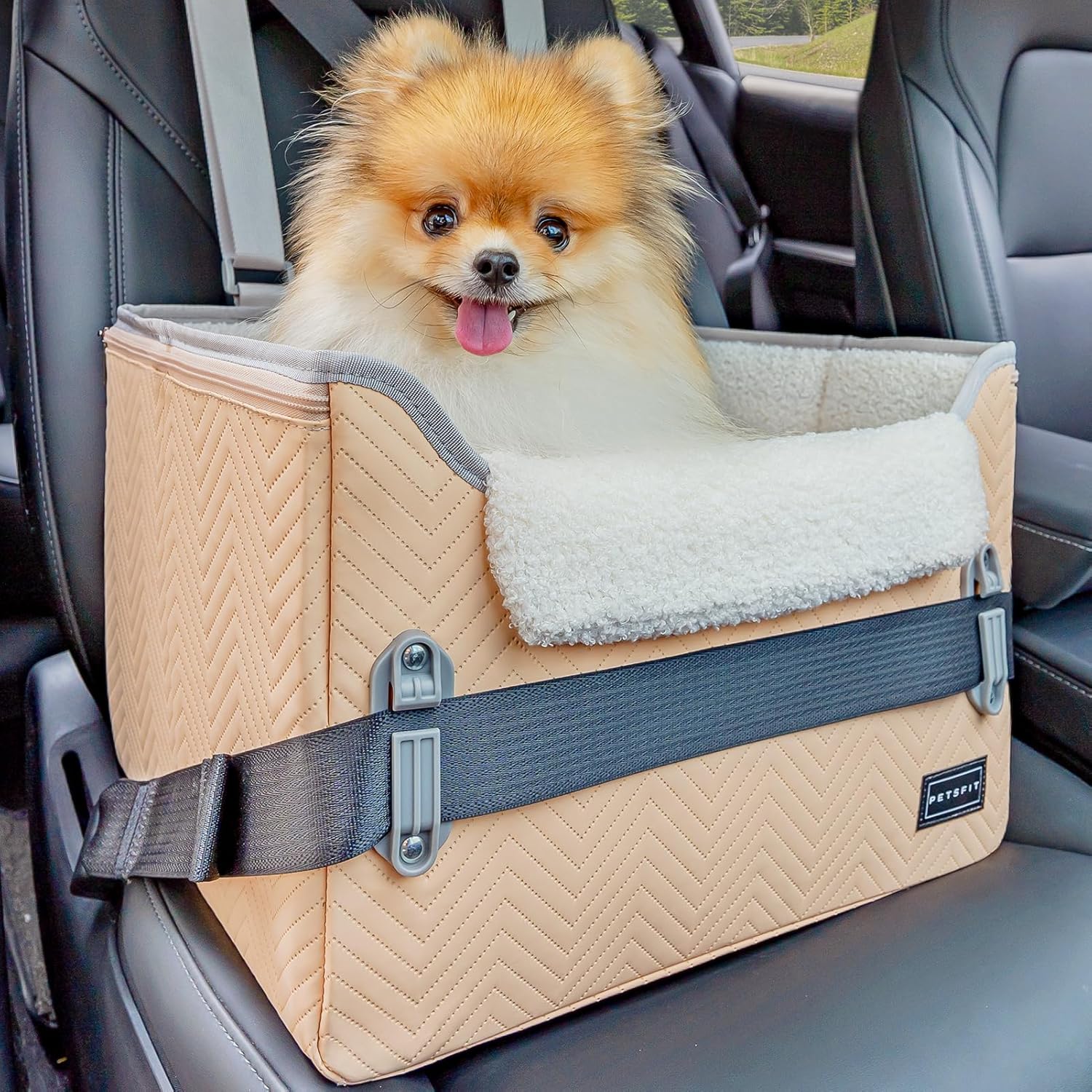 PETSFIT Small Dog Booster Car Seat with Safety Buckles & Tether, Foldable Orange Faux Leather