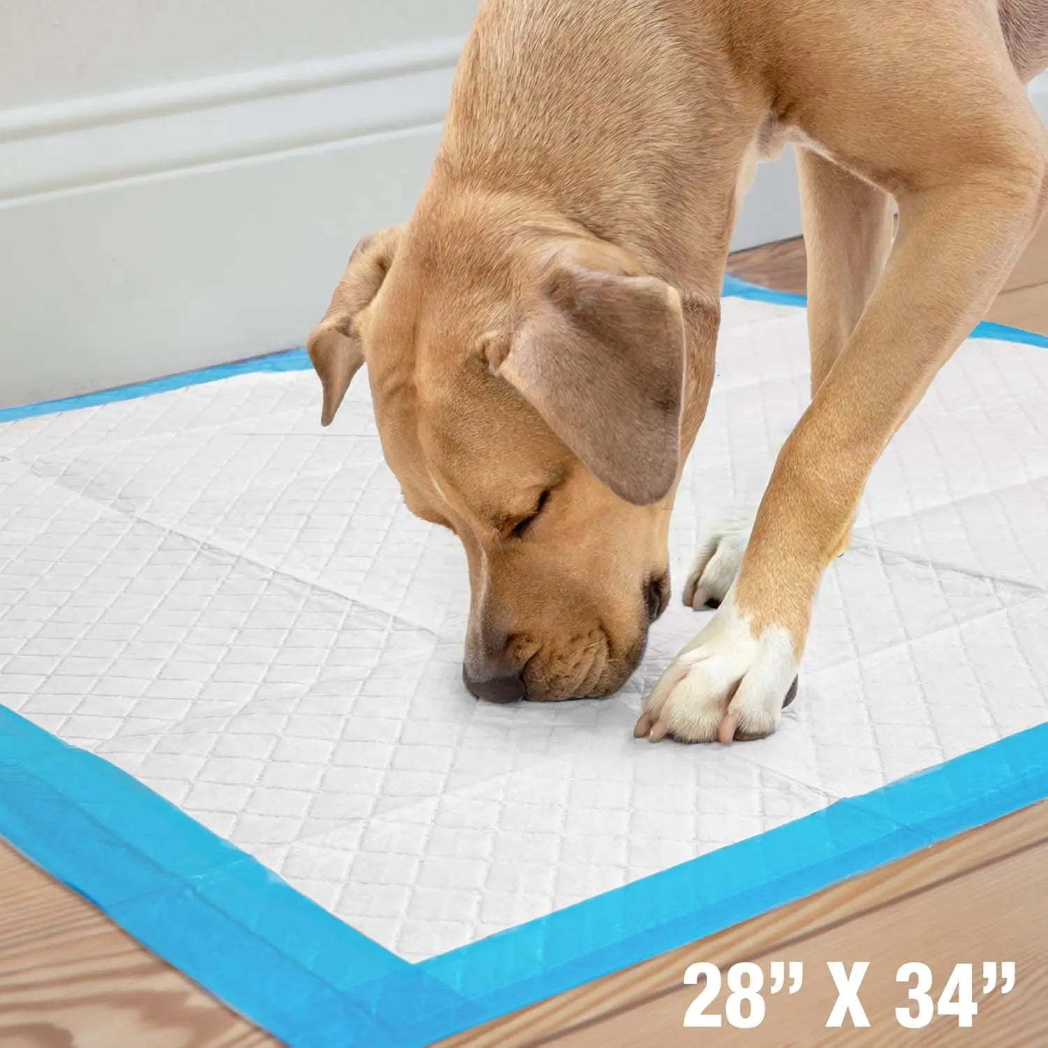 Wee-Wee Extra Large Dog Pee Pads Unscented Leak-Proof Quilted Training Pads