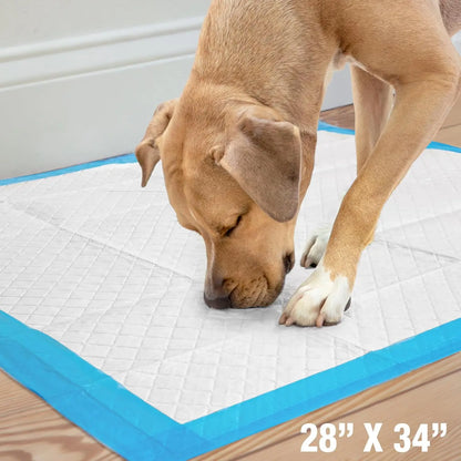 Wee-Wee Extra Large Dog Pee Pads Unscented Leak-Proof Quilted Training Pads