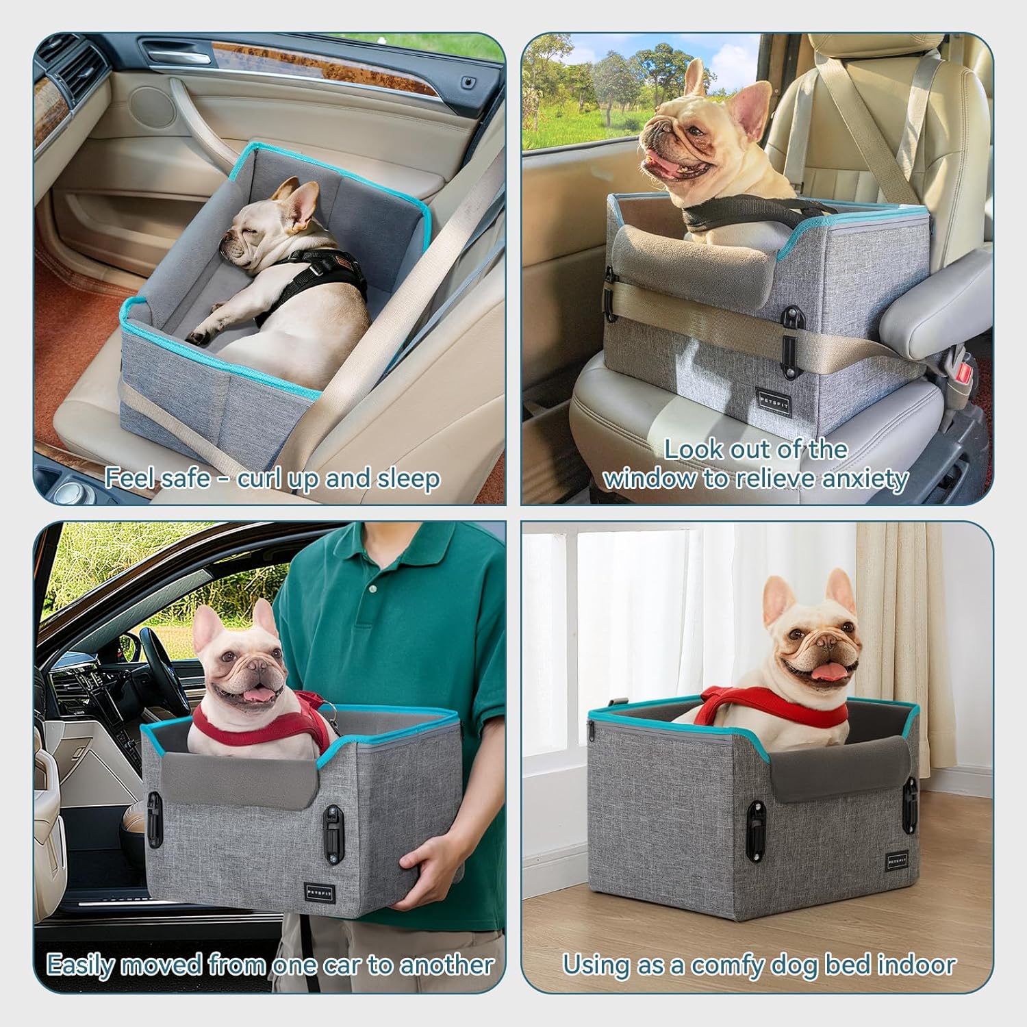 PETSFIT Small Dog Booster Car Seat with Safety Buckles & Tether, Foldable
