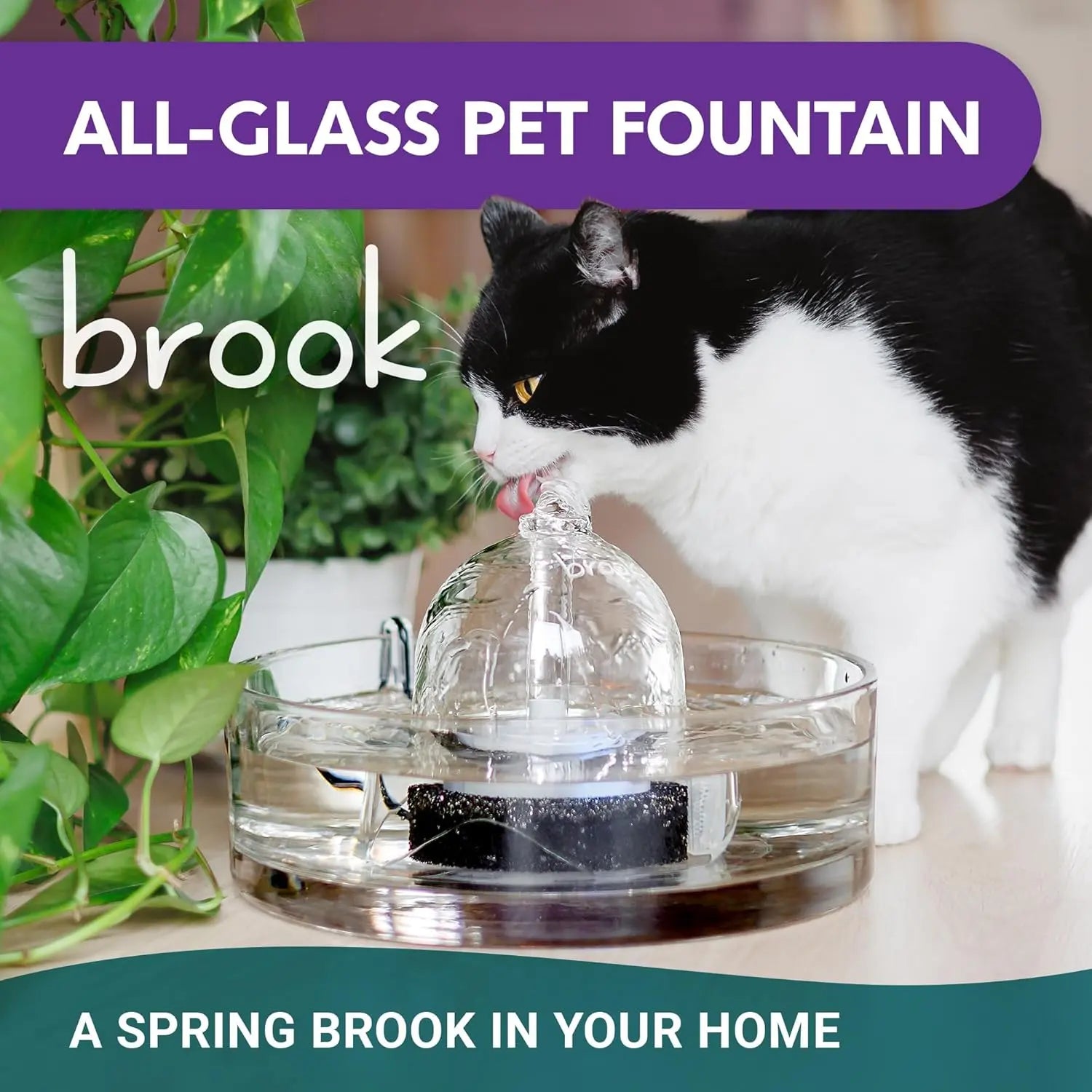 Glass Pet Fountain 90Oz – Automatic Small Dog & Cat Water Fountain