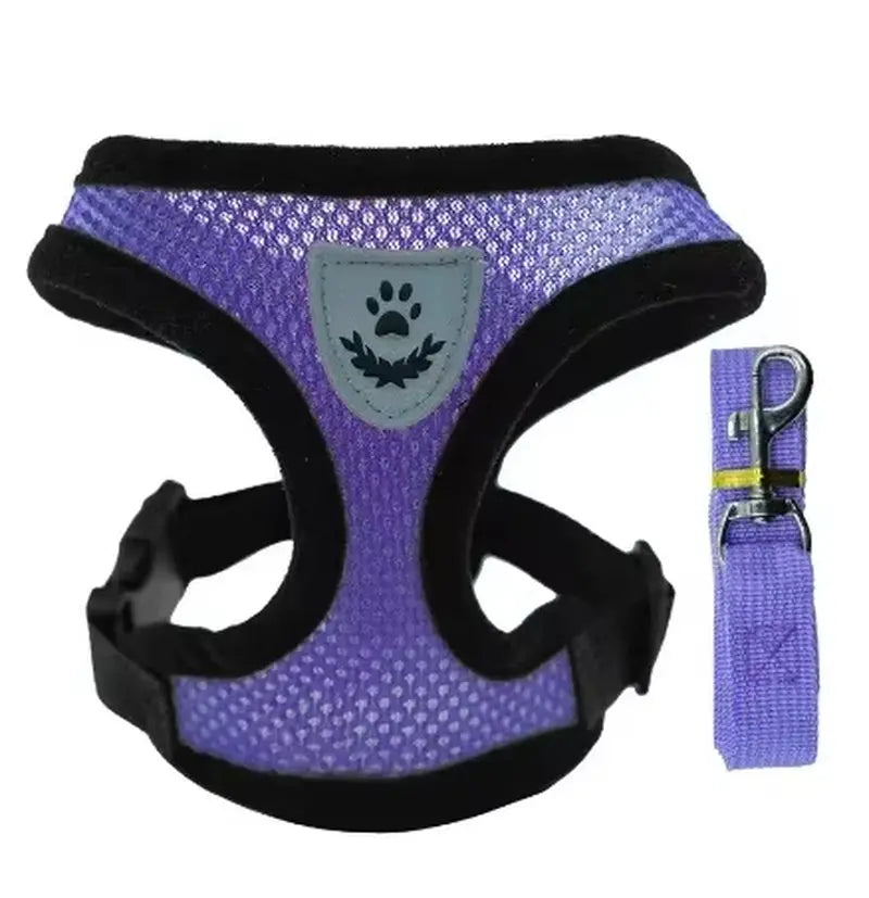 Adjustable Cat Harness Vest & Leash Set – Safe, Comfortable & Durable for Cat & Small Pets Purple