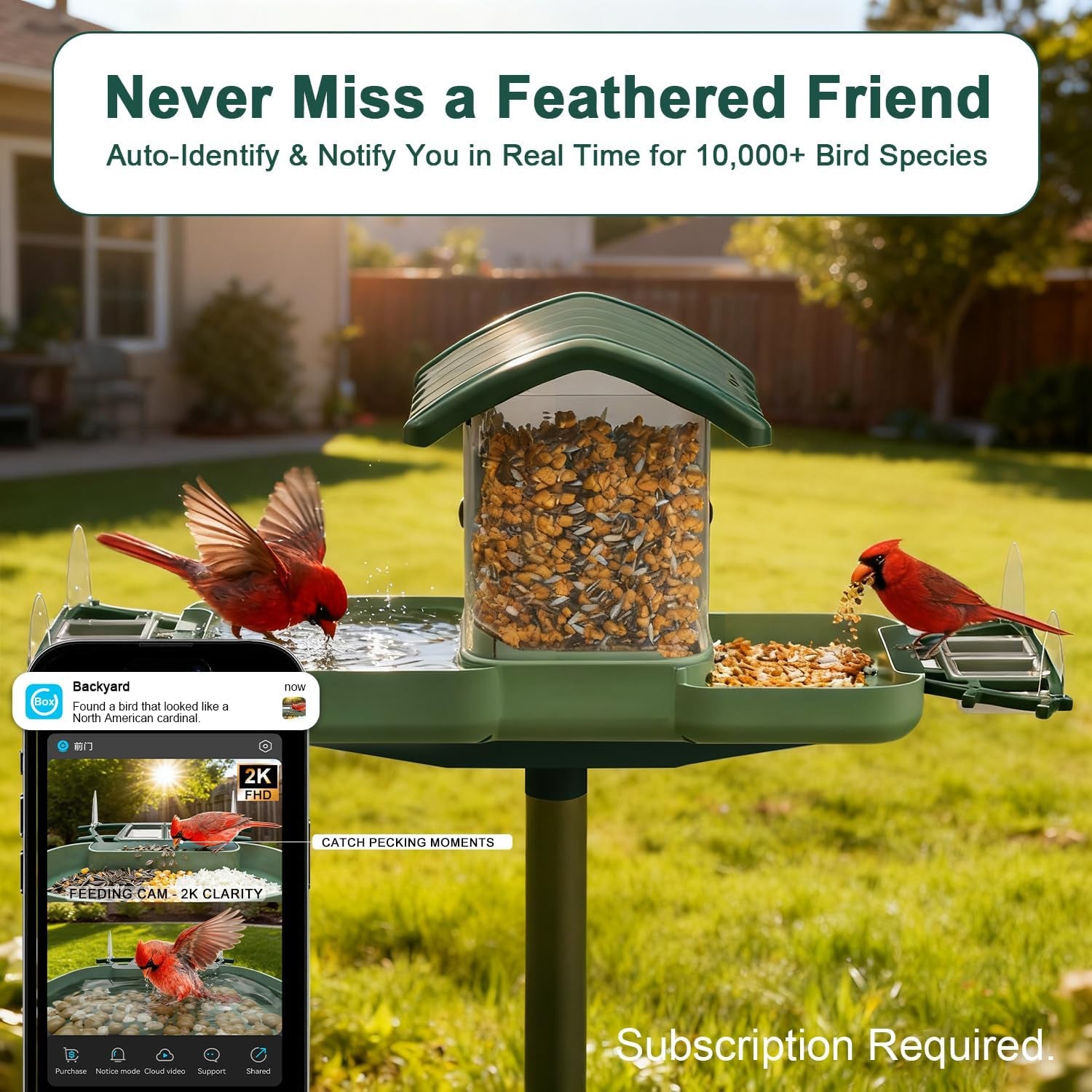 2-in-1 Smart Bird Feeder & Bath Camera, Dual 2K HD, Solar & AI Bird ID