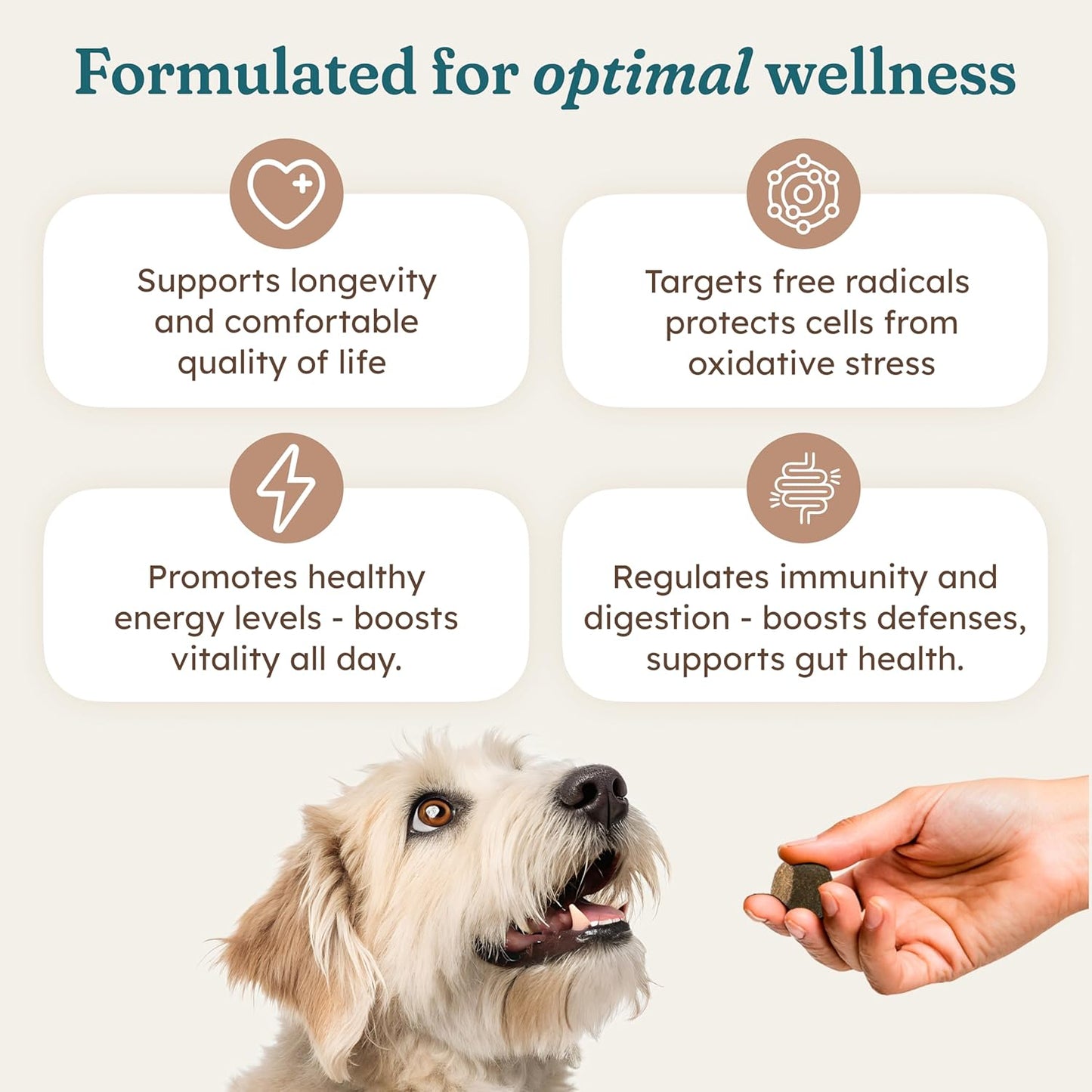 Immune Support Chews for Dogs Pork Flavor Wellness Soft Chews