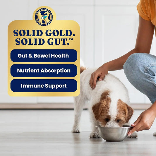 Grain-Free Weight Control & Gut Health Wet Dog Food with Superfoods, 13.2oz Cans