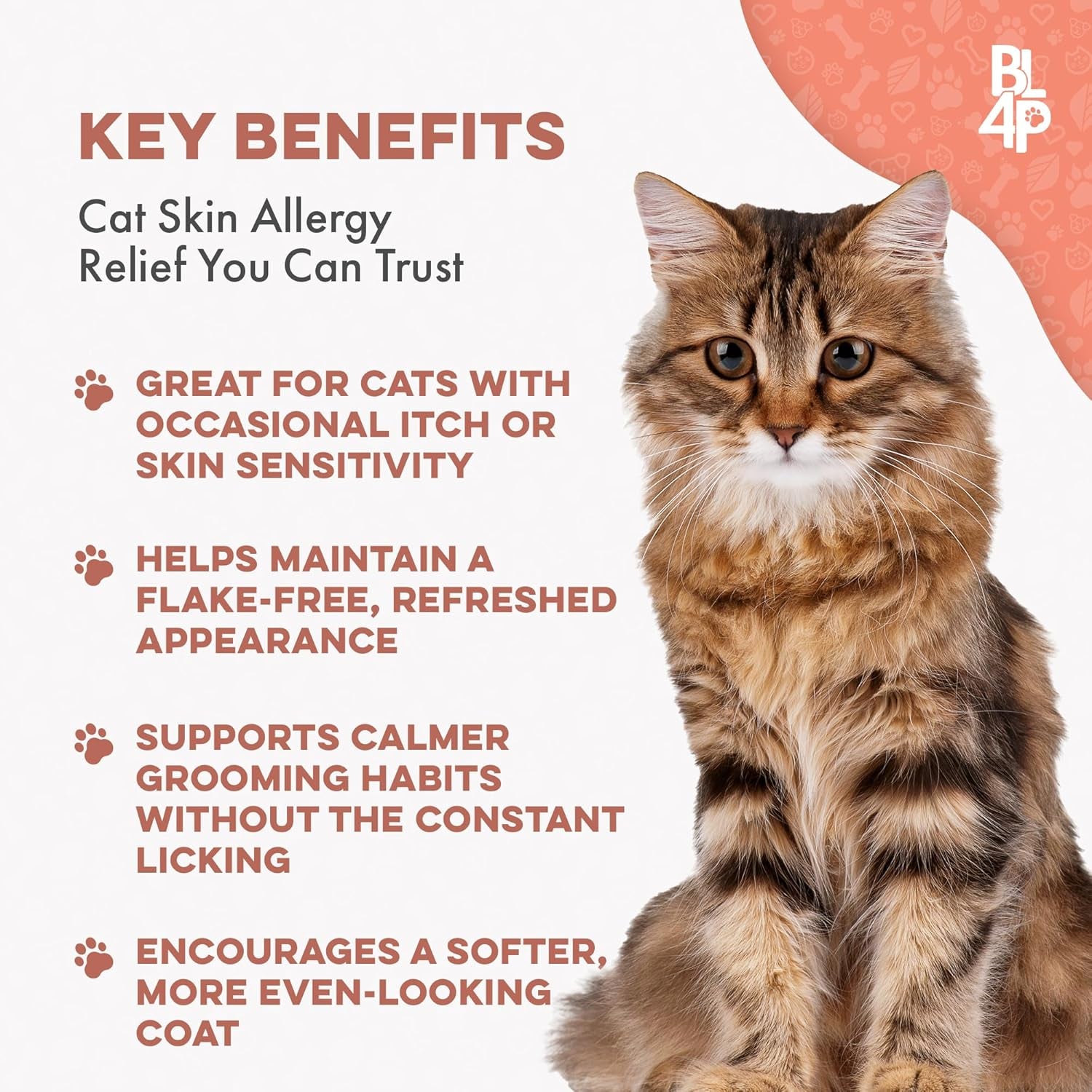 Cat Itchy Skin & Coat Support Supplement for Dry Skin, Shedding & Dandruff