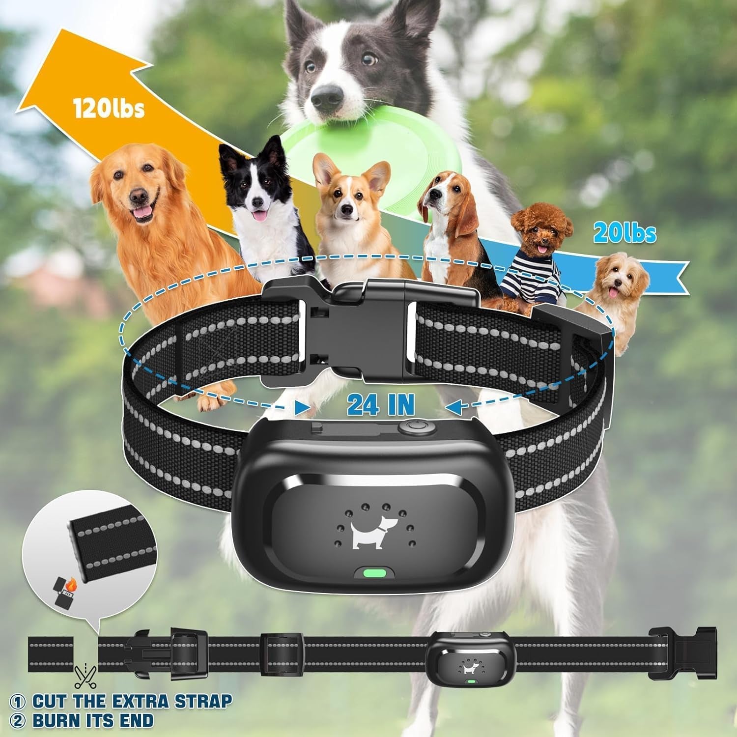 Dog Training Collar Remote Beep Vibration Shock Lock 1600FT Waterproof