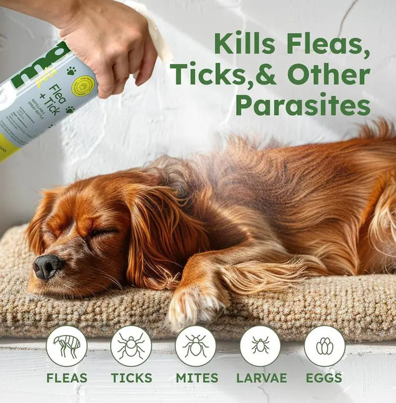 BugMD Flea & Tick Control 2 Pack | Plant-Based Concentrate for Pets & Home