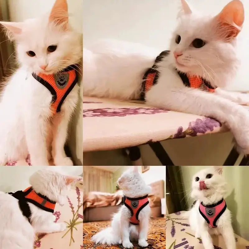 Adjustable Cat Harness Vest & Leash Set – Safe, Comfortable & Durable for Cat & Small Pets