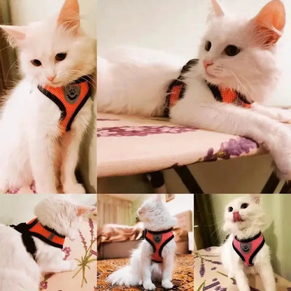 Adjustable Cat Harness Vest & Leash Set – Safe, Comfortable & Durable for Cat & Small Pets