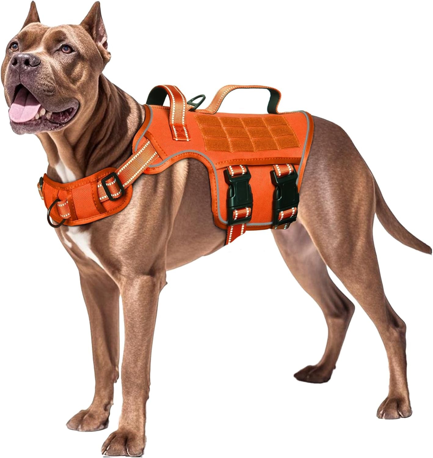 No Pull Tactical Dog Harness Heavy Duty Molle Vest for Medium to XLarge Dogs Orange Xl(Neck:21-32",Chest:26-39"),75-135 Lbs