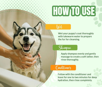 ALFIE'S Dog Shampoo and Conditioner Set Deodorizing Odor Control 16oz Each