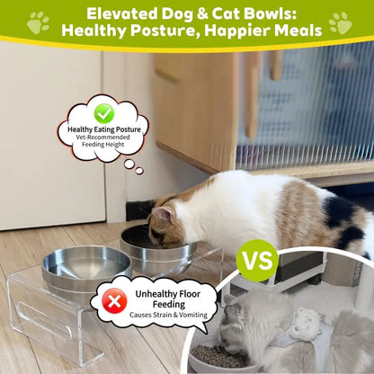 Acrylic Elevated Pet Bowls with Stand, Stainless Steel Feeder for Cats & Dogs