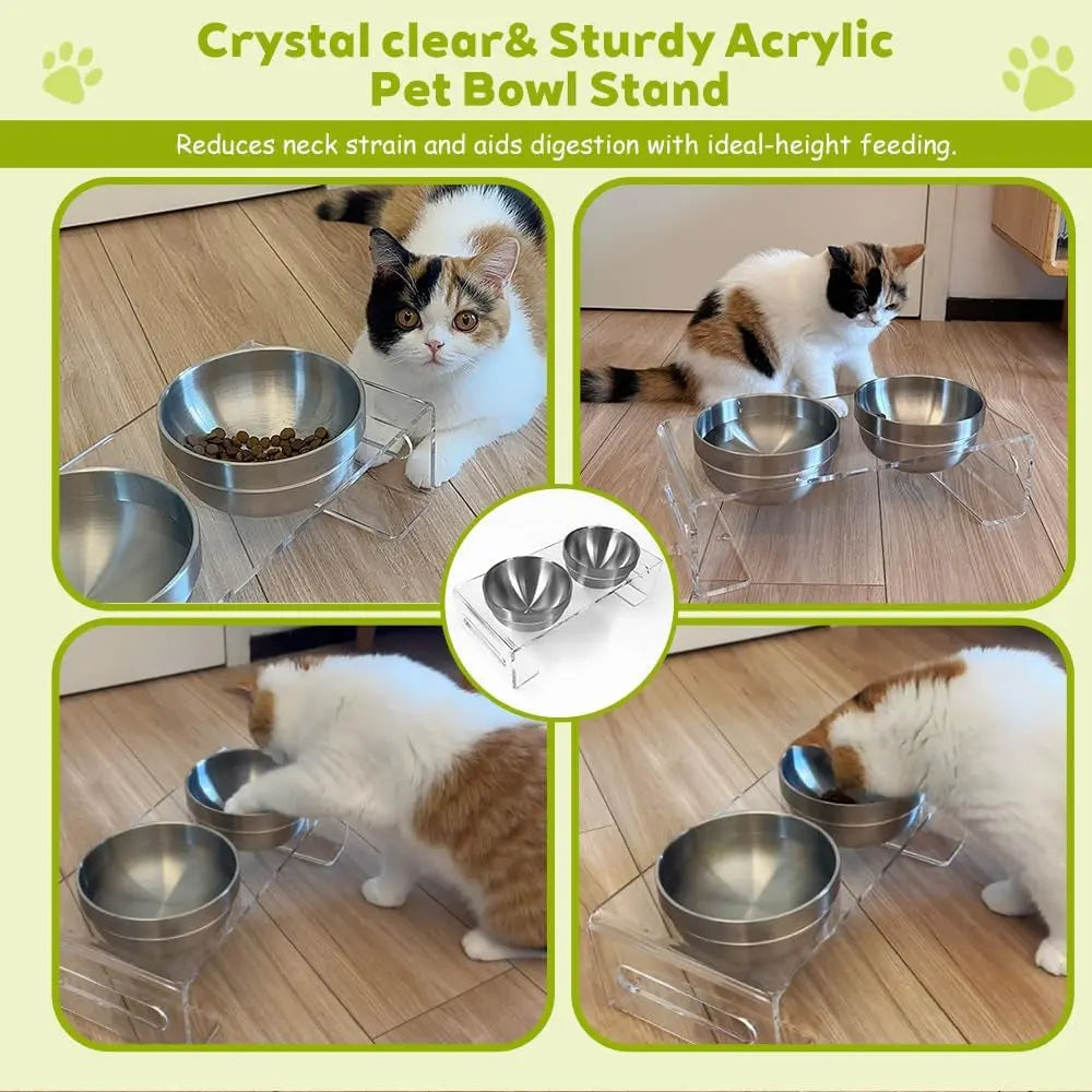Acrylic Elevated Pet Bowls with Stand, Stainless Steel Feeder for Cats & Dogs