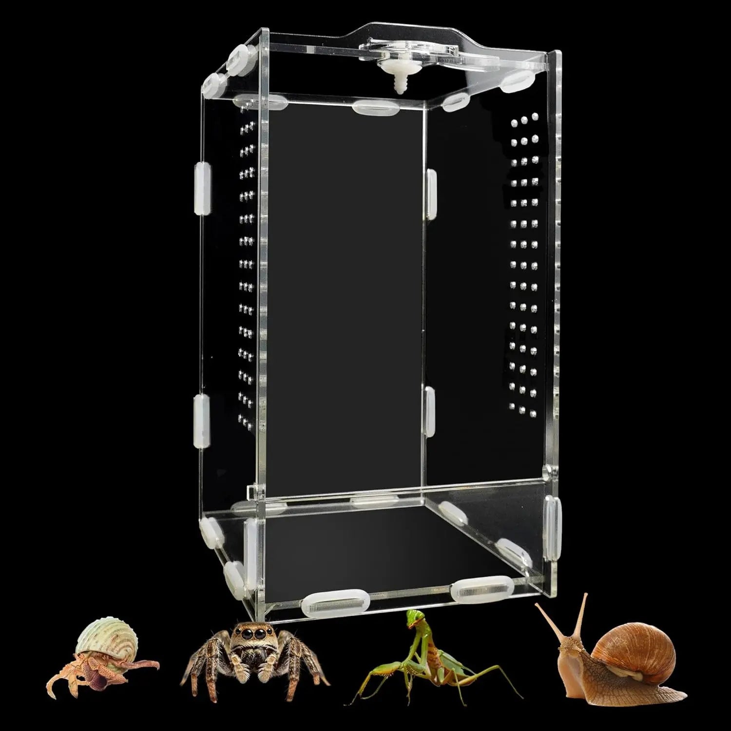 Acrylic Jumping Spider Enclosure Ventilated Habitat for Small Reptiles Default Title
