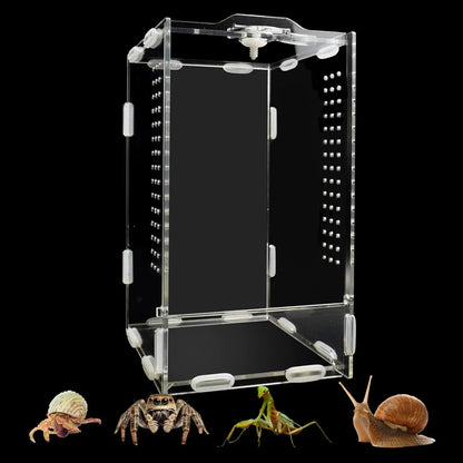 Acrylic Jumping Spider Enclosure Ventilated Habitat for Small Reptiles Default Title