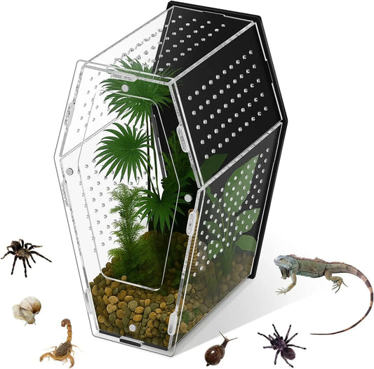 Acrylic Jumping Spider Habitat, Clear Insect & Reptile Terrarium Enclosure Black And Clear L
