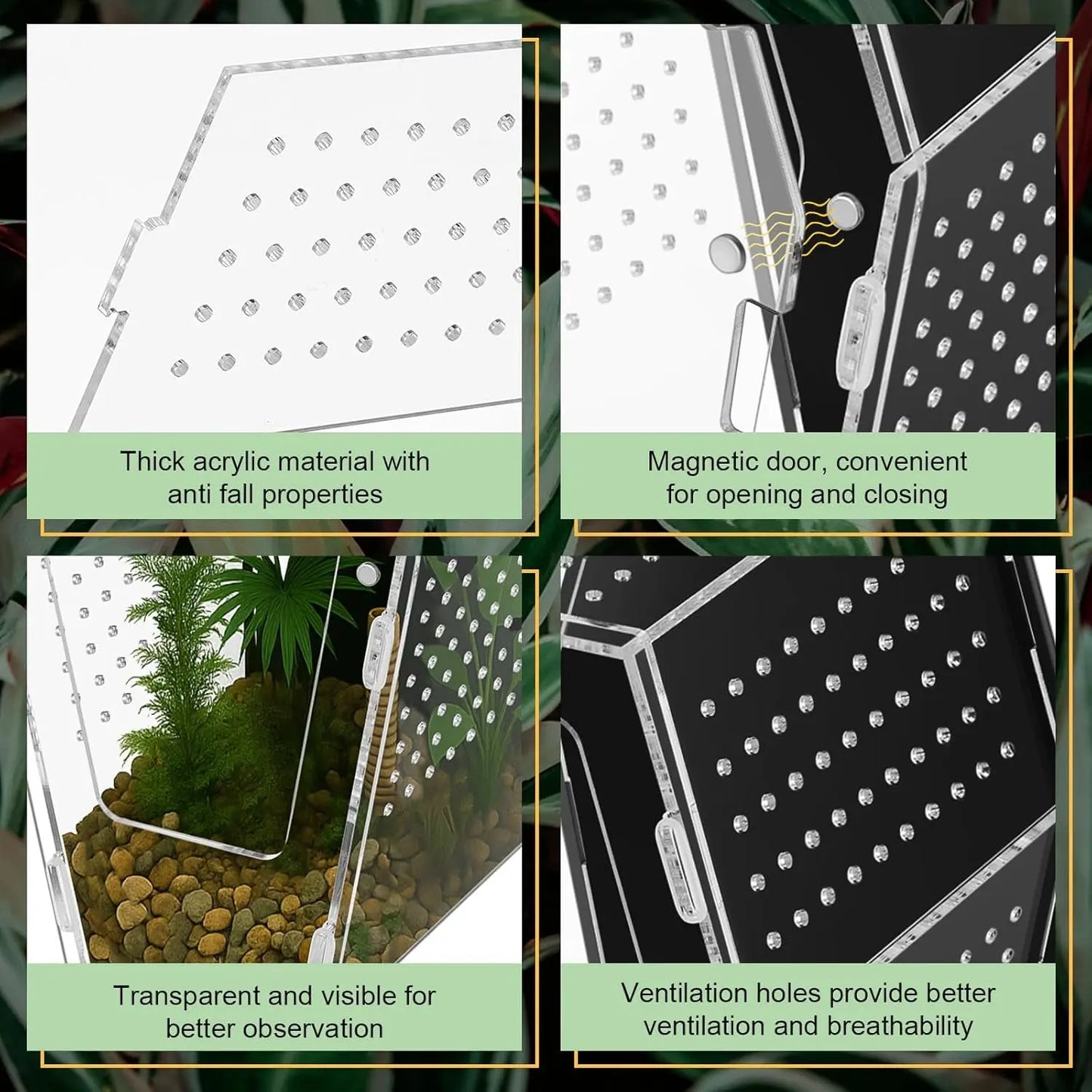 Acrylic Jumping Spider Habitat, Clear Insect & Reptile Terrarium Enclosure