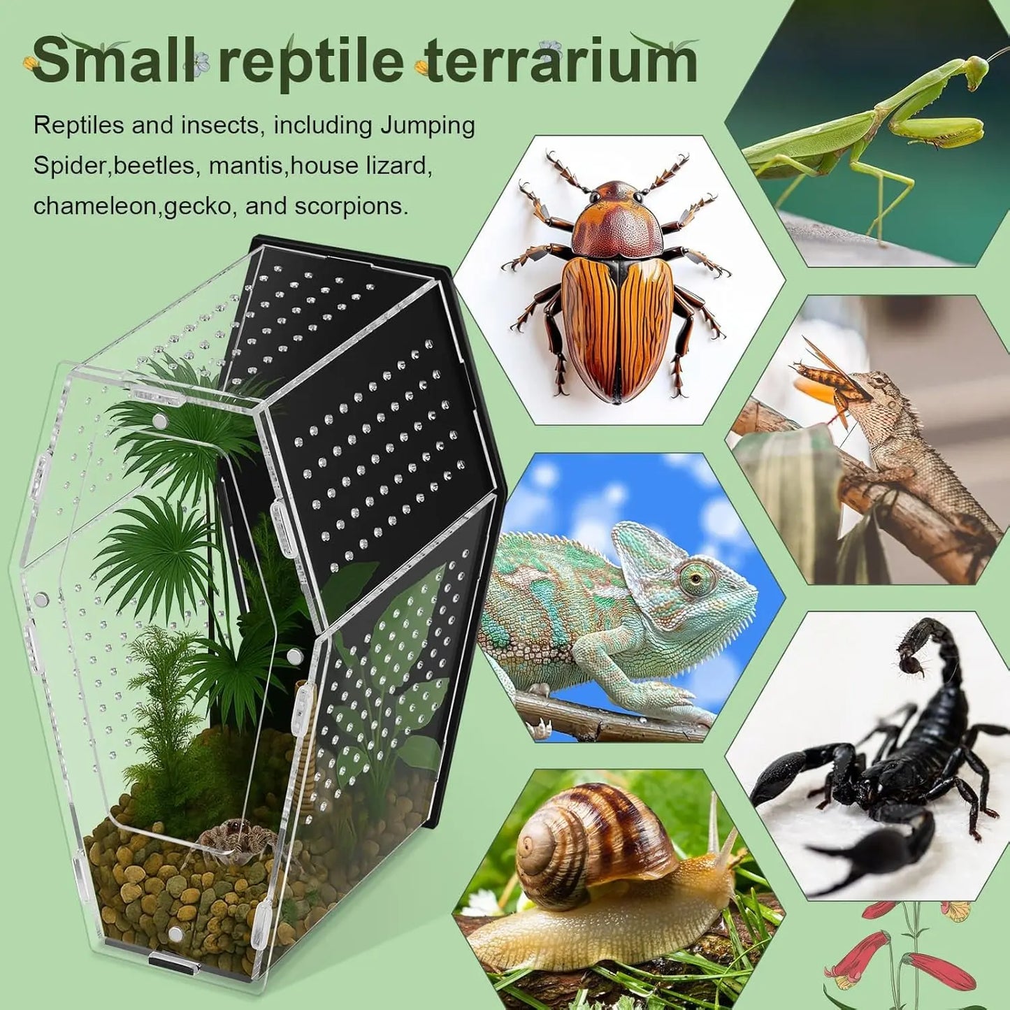 Acrylic Jumping Spider Habitat, Clear Insect & Reptile Terrarium Enclosure